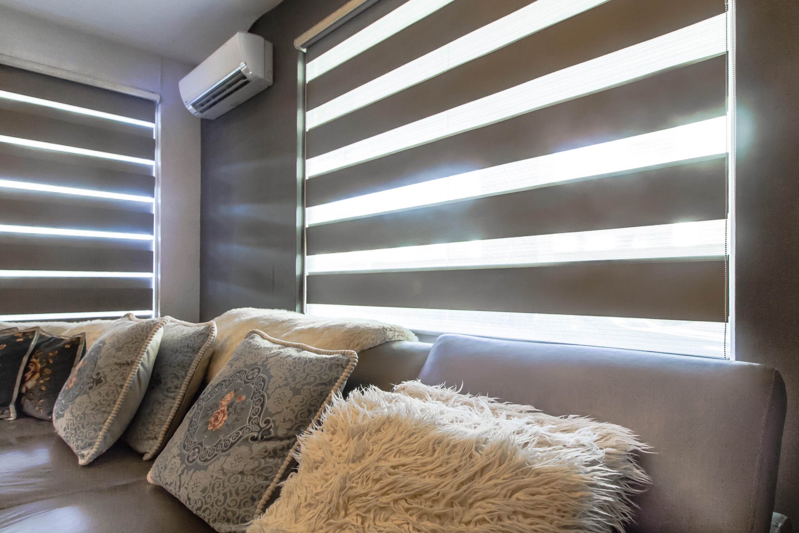 Zebra blind curtain installed in a cozy living room for adjustable light filtering, privacy, and modern window styling.